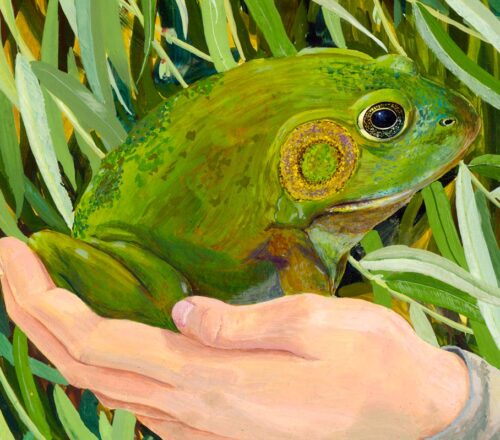magic frog, enchanted frog, magic toad, enchanted toad, feminist fairy tale painting, enchanted prince