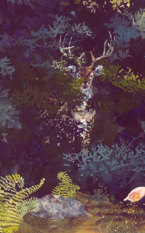 hidden stag, hidden deer, deer hiding, guardian stag