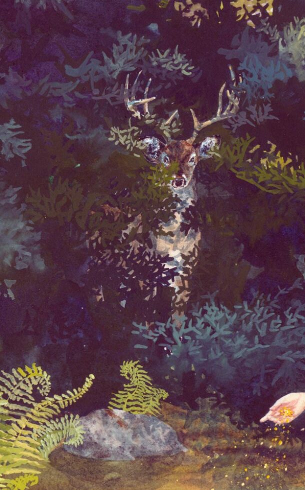 hidden stag, hidden deer, deer hiding, guardian stag