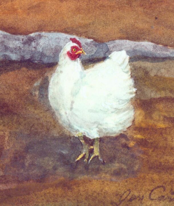 white hen watercolor detail
