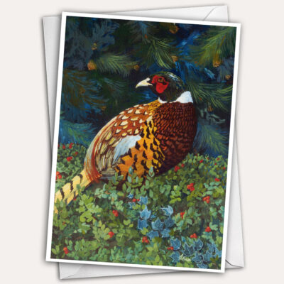 Ring necked pheasant sitting in winter evergreens with red berries greeting card, christmas card, holiday card