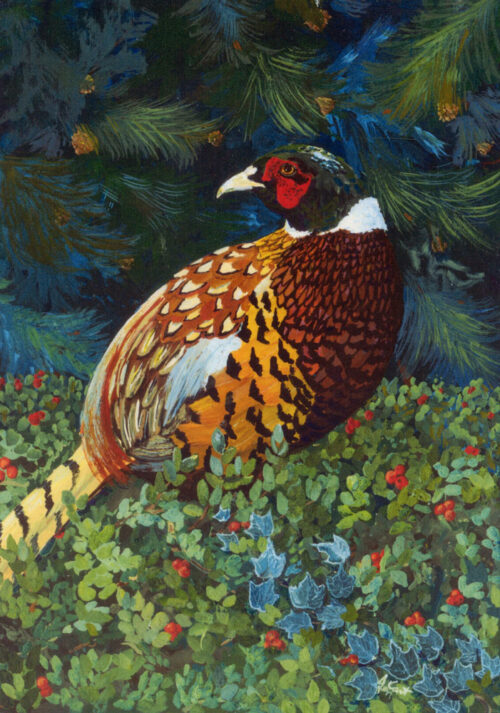 Beautiful Christmas Card or Greeting Card with Ring Necked Pheasant sitting in bear berry and ivy