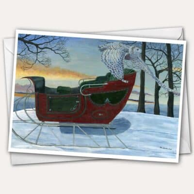 Jen Greta Cart Greeting Card Christmas Card Sleigh Snowy Owl